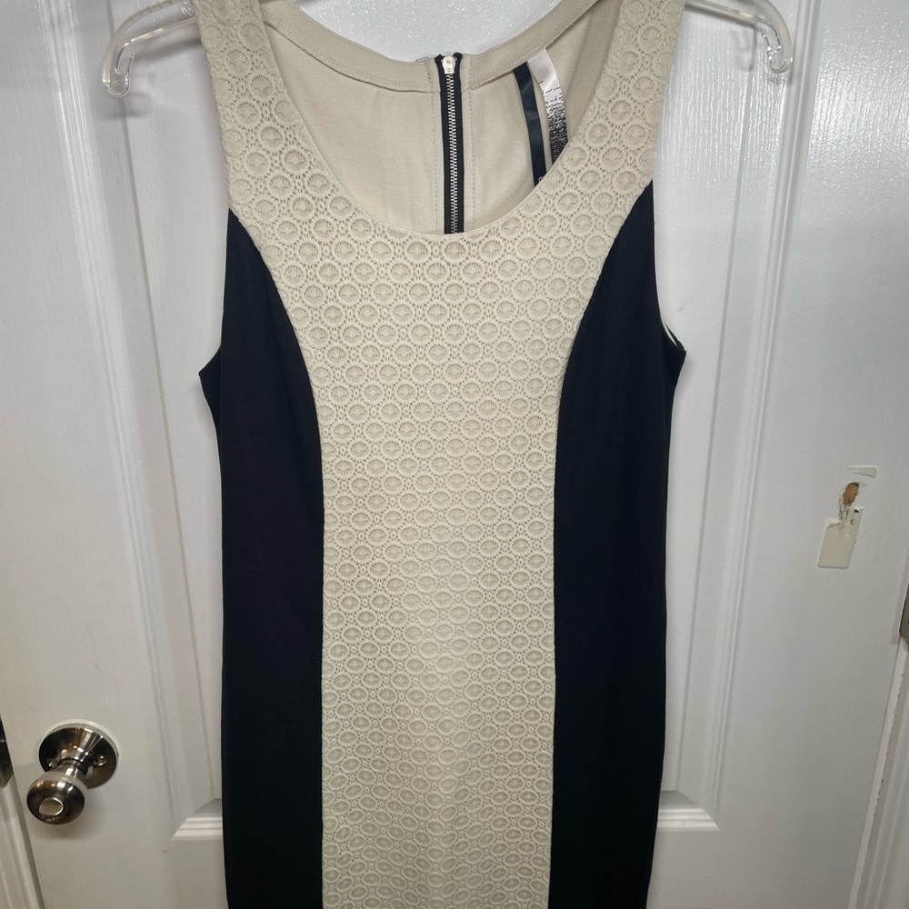 Kensie Cream and Black Ribbed Sheath Dress
